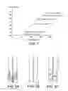 Fig. 02 - Electrostatic filtering device using optimized emissive sites