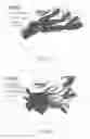 Fig. 07 - Fetch and Retrieve Tossing Toy