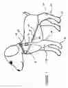 Fig. 02 - Wound care system for pets