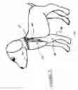 Fig. 03 - Wound care system for pets