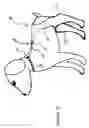 Fig. 10 - Wound care system for pets