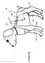 Fig. 12 - Wound care system for pets