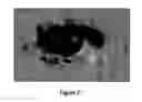 Fig. 07 - PARTIALLY TRANSPARENT SOLAR PANEL