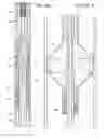 Fig. 08 - Nitinol Spring Through Tubing Bridge Plug