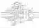 Fig. 01 - Differential assembly including differential lock and blocking member