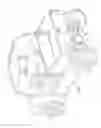 Fig. 02 - Differential assembly including differential lock and blocking member