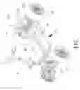 Fig. 02 - Small Vehicle