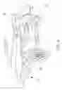 Fig. 06 - Small Vehicle