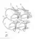 Fig. 02 - Wine barrel rack