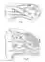 Fig. 08 - Ballot processing system
