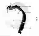 Fig. 04 - RFID tag