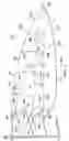 Fig. 10 - Shape-changing control surface