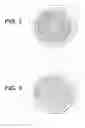 Fig. 03 - CONTACT LENS PACKAGES