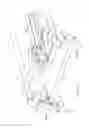 Fig. 03 - Leg release assembly for a cot