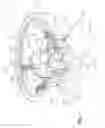 Fig. 04 - Turret seat