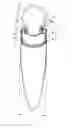 Fig. 01 - Interface fitting for a cycle wheel and a cycle wheel comprising a rim, a tire, and such fitting