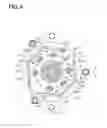 Fig. 09 - Electronic circuit-integrated motor apparatus