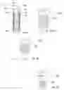 Fig. 20 - Loaded LED bulbs for incandescent/fluorescent/neon/xenon/halogen bulbs replacement in load sensitive applications and more