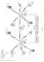 Fig. 02 - Antenna Array For Multiple In Multiple Out (MIMO) Communication Systems