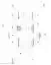 Fig. 08 - Gaze intent estimation for retargeting of characters