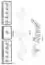 Fig. 08 - Tight inbetweening