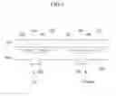 Fig. 07 - Sensing device and method of sensing a light by using the same