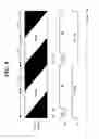 Fig. 09 - Stereoscopic image display and driving method thereof