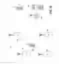 Fig. 18 - PROVIDING MULTIPLE PERSPECTIVES OF A VENUE ACTIVITY TO ELECTRONIC WIRELESS HAND HELD DEVICES