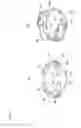 Fig. 06 - Driving apparatus, lens driving apparatus, and mechanical apparatus