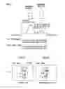 Fig. 03 - Imaging device and imaging method