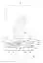 Fig. 01 - Image forming apparatus