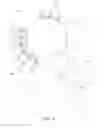 Fig. 02 - Liquid electrophotographic printer