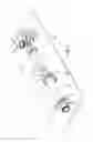 Fig. 02 - Processing Cavity Pump and an Associated Pump Device