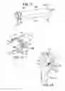 Fig. 08 - Processing Cavity Pump and an Associated Pump Device
