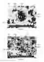 Fig. 06 - Super-Hard Enhanced Hard Metals