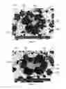 Fig. 07 - Super-Hard Enhanced Hard Metals