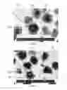 Fig. 08 - Super-Hard Enhanced Hard Metals