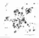 Fig. 01 - METAL NANOPARTICLES STABILIZED WITH DERIVATIZED POLYETHYLENEIMINES OR POLYVINYLAMINES