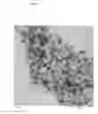 Fig. 04 - METAL NANOPARTICLES STABILIZED WITH DERIVATIZED POLYETHYLENEIMINES OR POLYVINYLAMINES