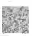 Fig. 05 - METAL NANOPARTICLES STABILIZED WITH DERIVATIZED POLYETHYLENEIMINES OR POLYVINYLAMINES