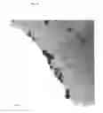 Fig. 06 - METAL NANOPARTICLES STABILIZED WITH DERIVATIZED POLYETHYLENEIMINES OR POLYVINYLAMINES