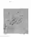 Fig. 08 - METAL NANOPARTICLES STABILIZED WITH DERIVATIZED POLYETHYLENEIMINES OR POLYVINYLAMINES