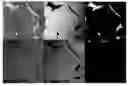 Fig. 01 - Process for production of sintered copper alloy sliding material and sintered copper alloy sliding material