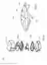 Fig. 13 - Apparatus for sanitizing oral appliances