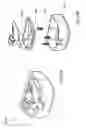 Fig. 15 - Apparatus for sanitizing oral appliances