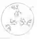 Fig. 01 - Centrifugal force-based microfluidic device for protein detection and microfluidic system including the same
