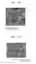 Fig. 13 - Centrifugal force-based microfluidic device for protein detection and microfluidic system including the same