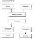 Fig. 01 - Process for enhanced remediation of contaminated wastewaters, soils and wasteforms
