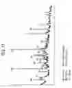 Fig. 14 - Process for enhanced remediation of contaminated wastewaters, soils and wasteforms
