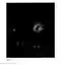 Fig. 06 - METHODS FOR IN VIVO IMAGING OF CELLS